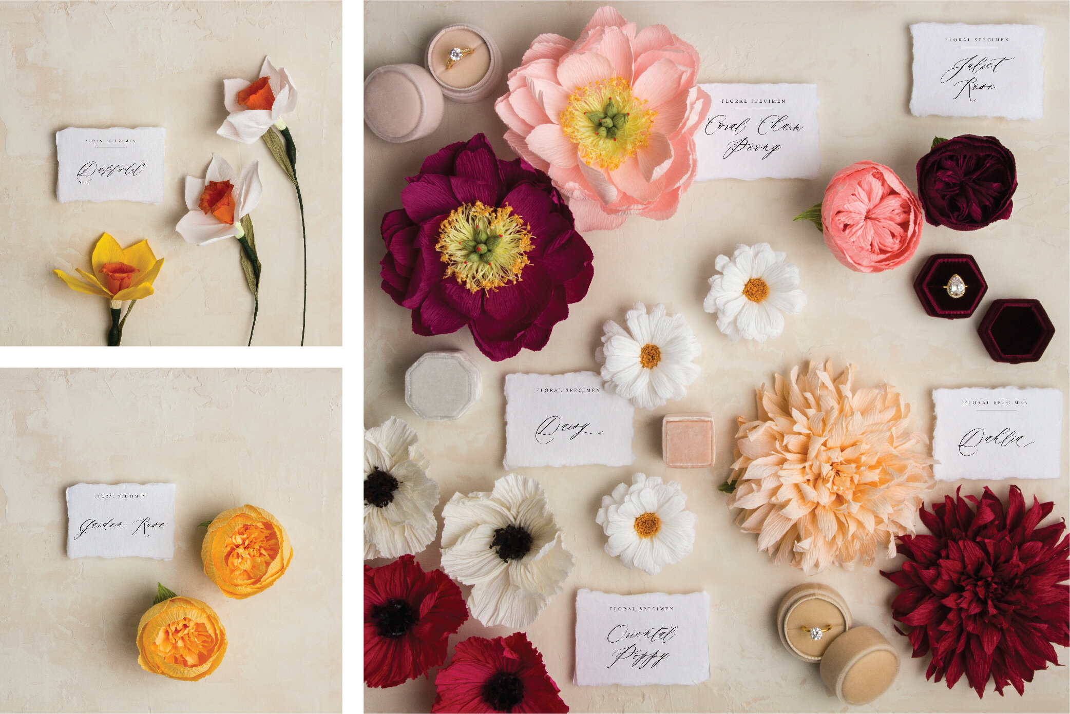 622_Flowers_C-01.jpg