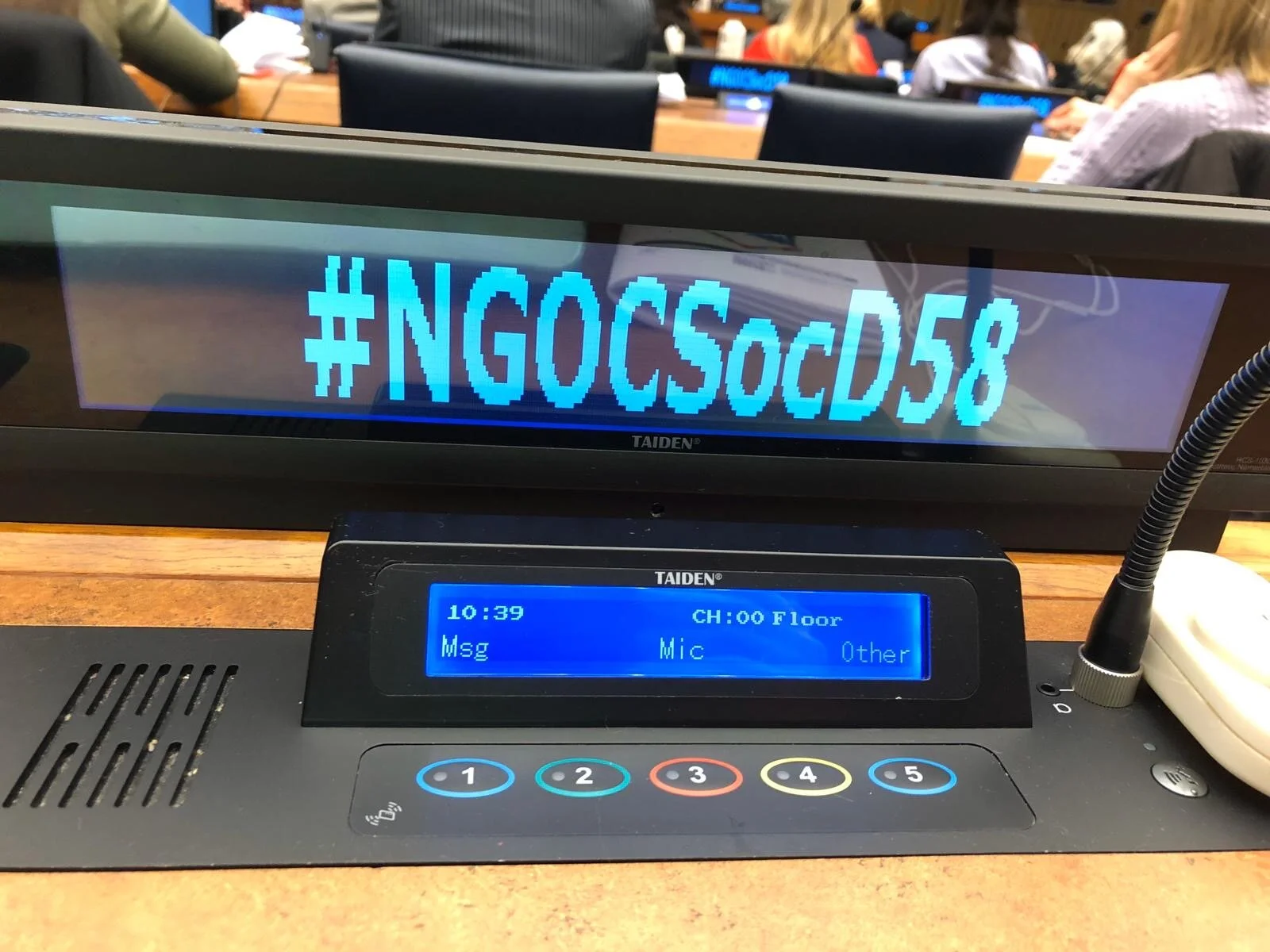 APF Attends 58th Session of the UN Commission on Social Development