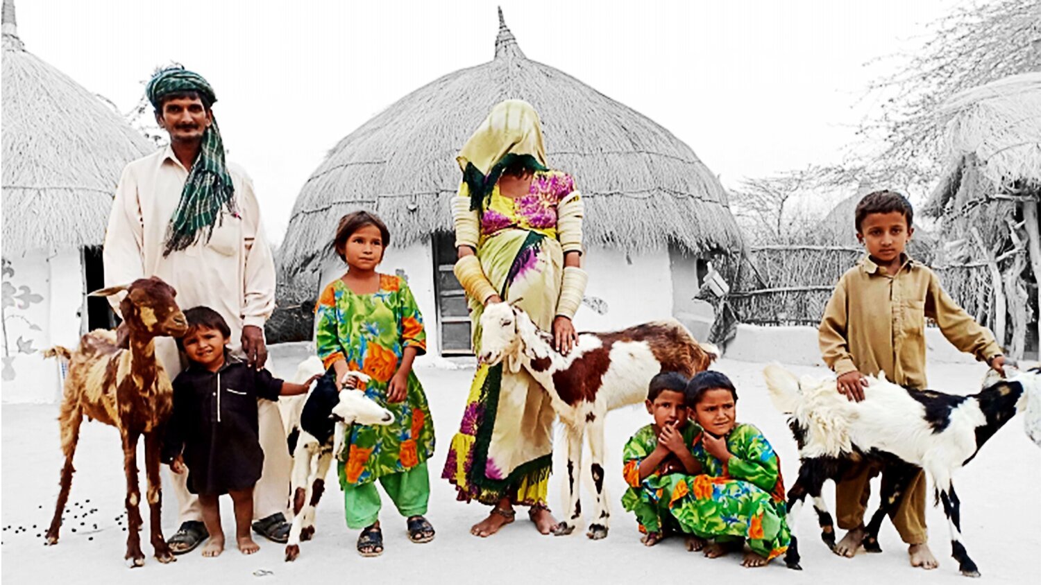 Bartering Goats in Rural Pakistan