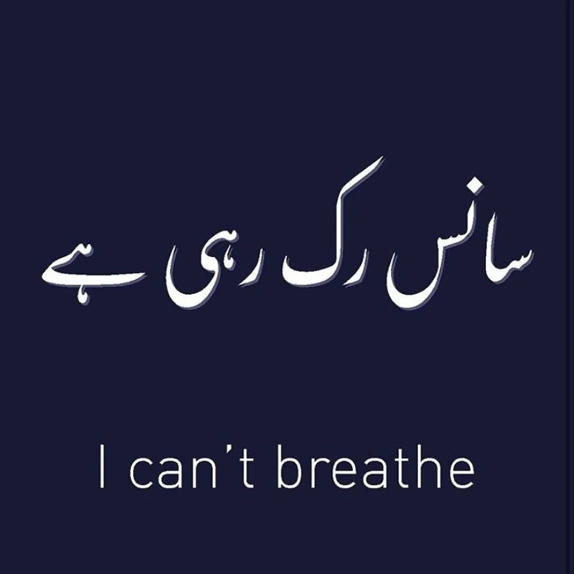 An Interview With Words In Urdu American Pakistan Foundation An Interview With Words In Urdu American Pakistan Foundation