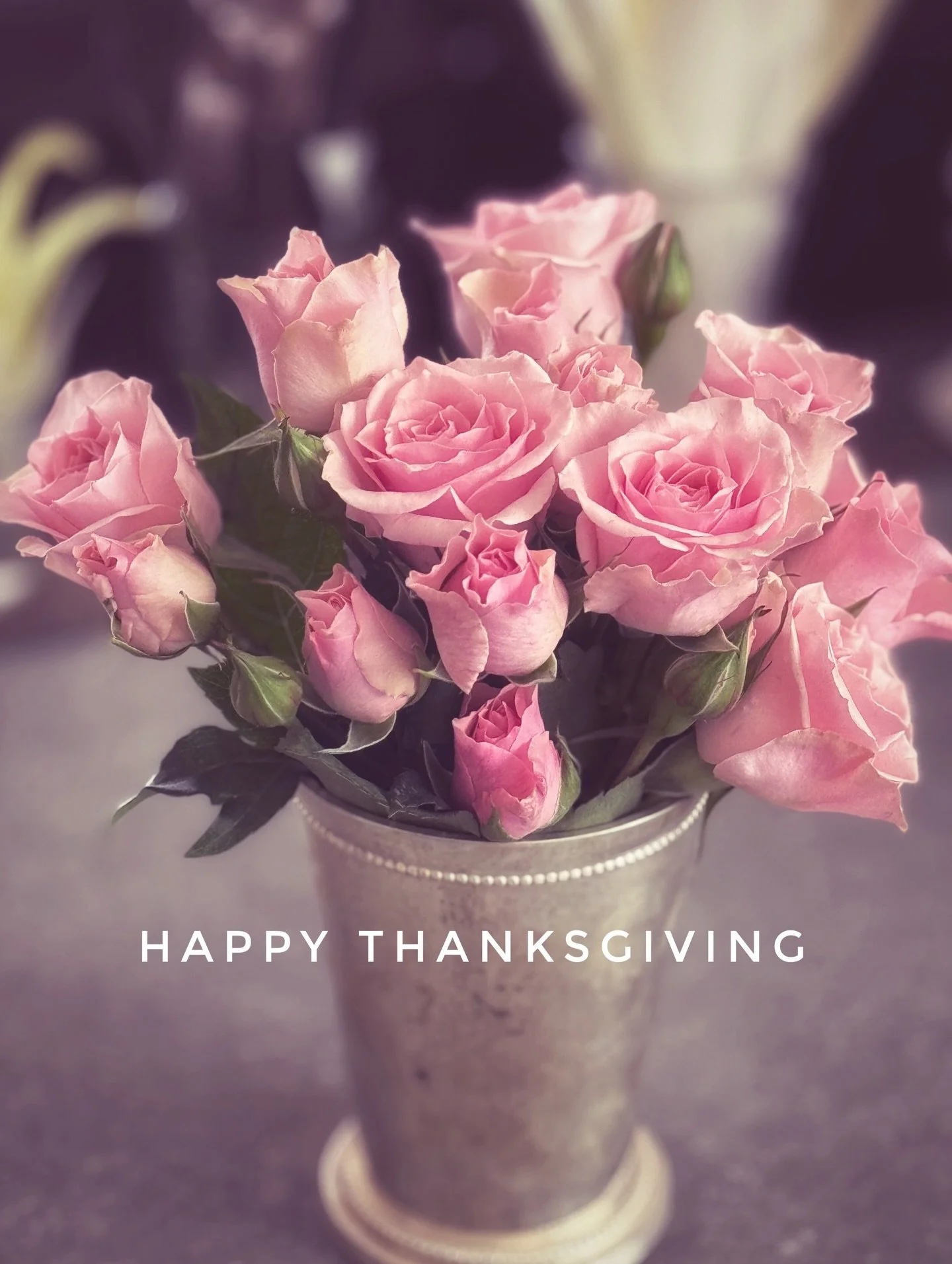 Happy Thanksgiving beautiful souls, with all my love 💗

📷 @planetvie 

#thanksgiving #grateful #gratitude #love #purelove #roses #virginiemiramon
