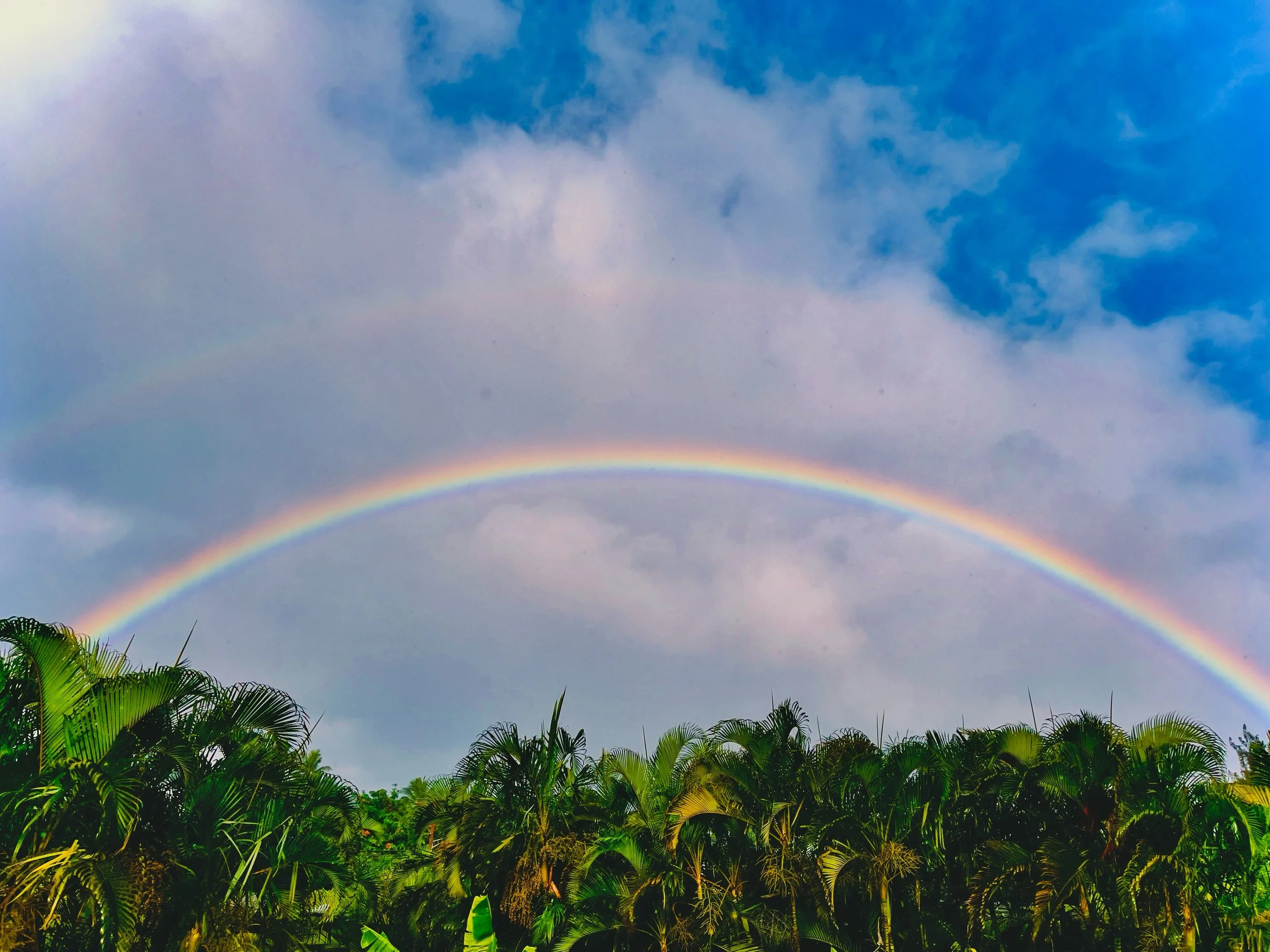 Hello Beautiful Souls,

A rainbow magically appearing in the sky after the rain always brings a sense of awe.
Mother nature is smiling, letting us know that everything will be ok after the storm
and that, just like us, she is very resilient.
I person
