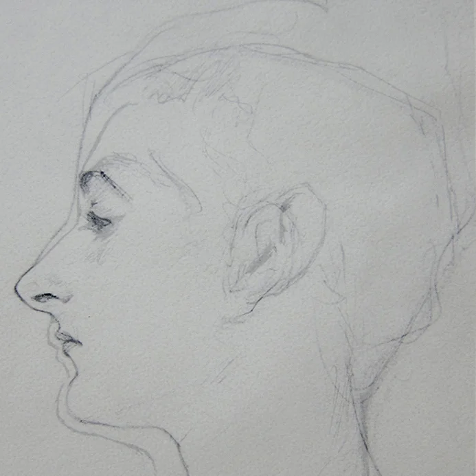 Sargent's X.thumb.web.jpg