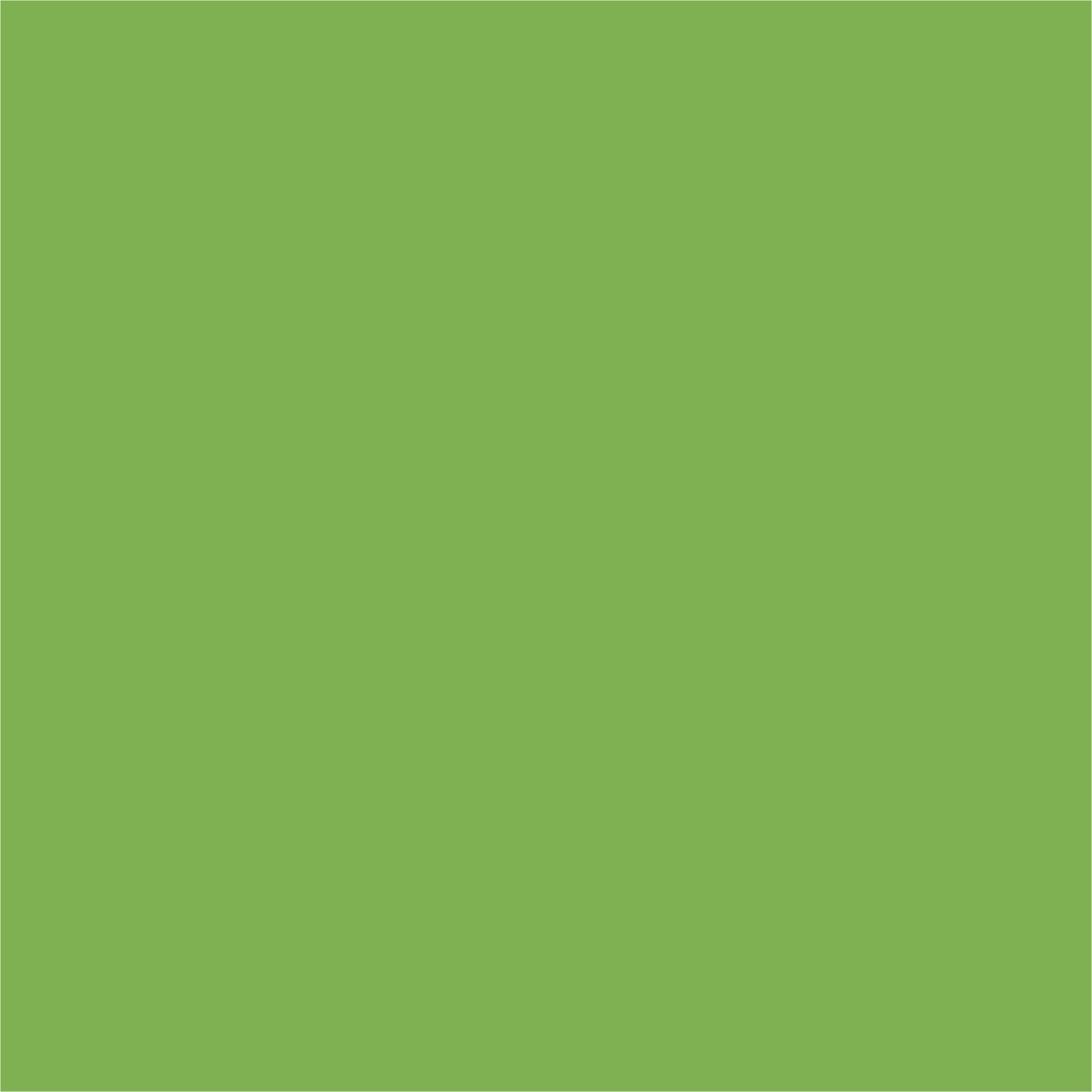 Fisher-Brothers_Block_Dk-Green.jpg