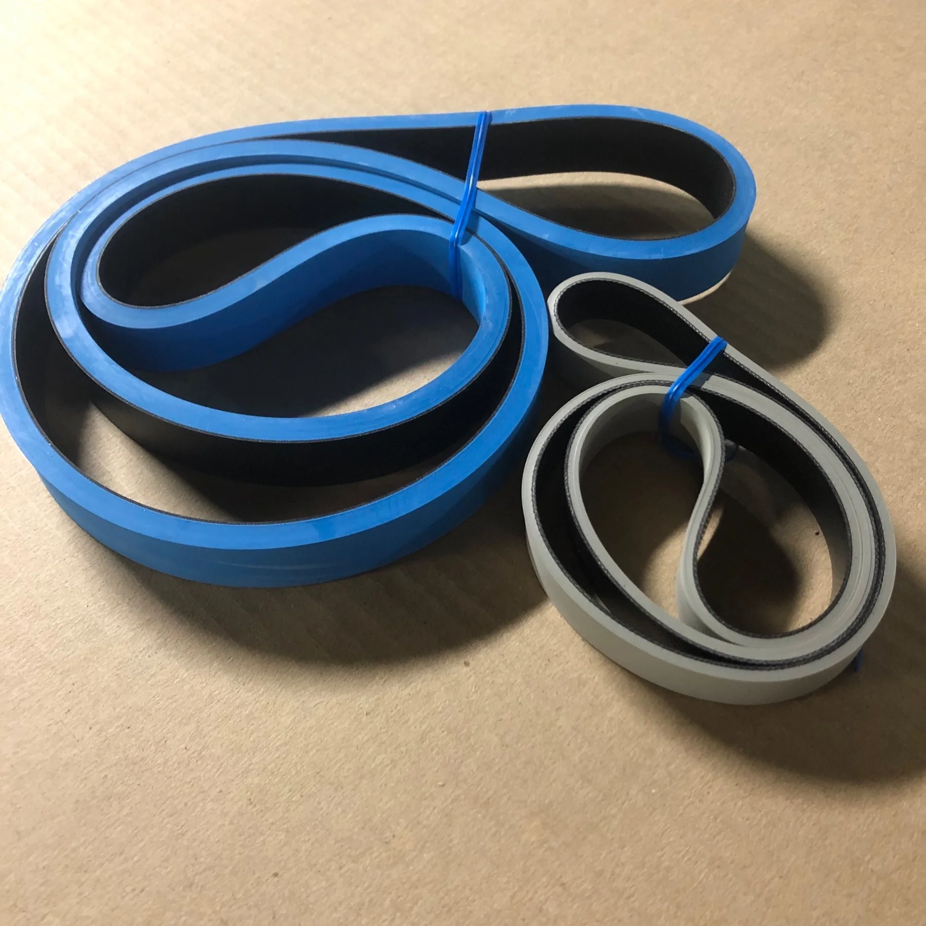 folder+belts+.jpg
