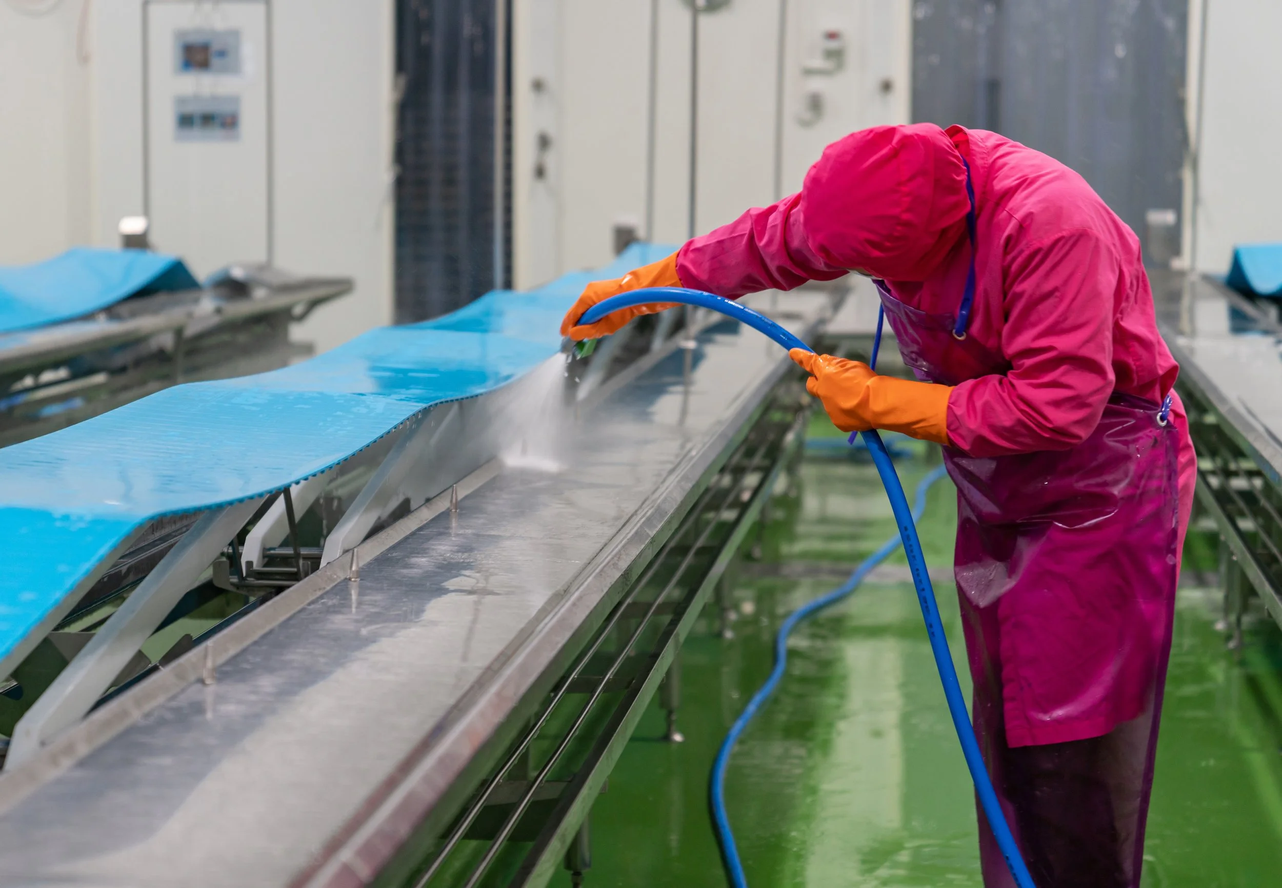 Top 5 Best Practices for Selecting Belts in the Meat Processing Industry