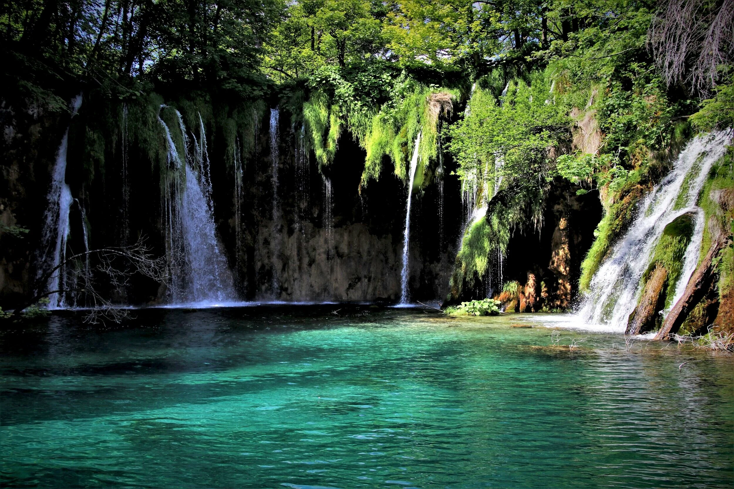 green-water-5264864.jpg
