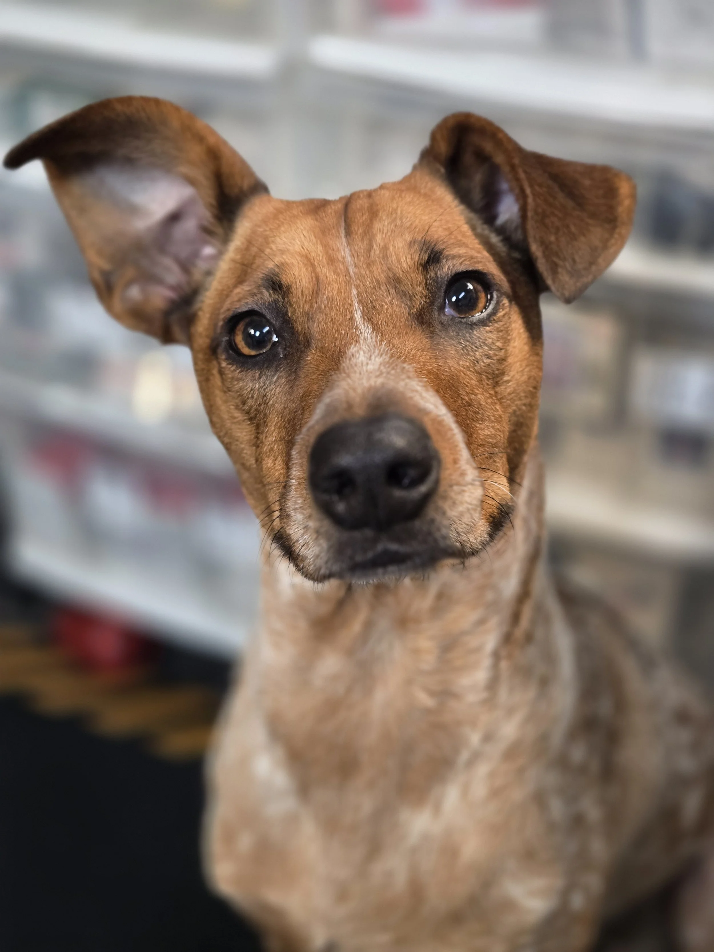 IMG_20251211_212848 (2).jpg