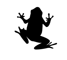 Screen Shot 2025-10-30 at 2.46.36 PM.png