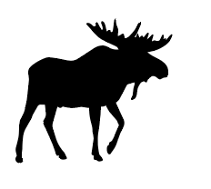 Screen Shot 2025-10-30 at 2.13.27 PM.png