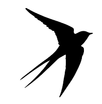 Screen Shot 2025-10-30 at 2.46.14 PM.png