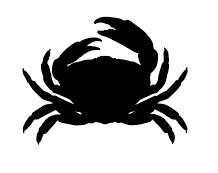 Screen Shot 2025-10-30 at 2.13.55 PM.png