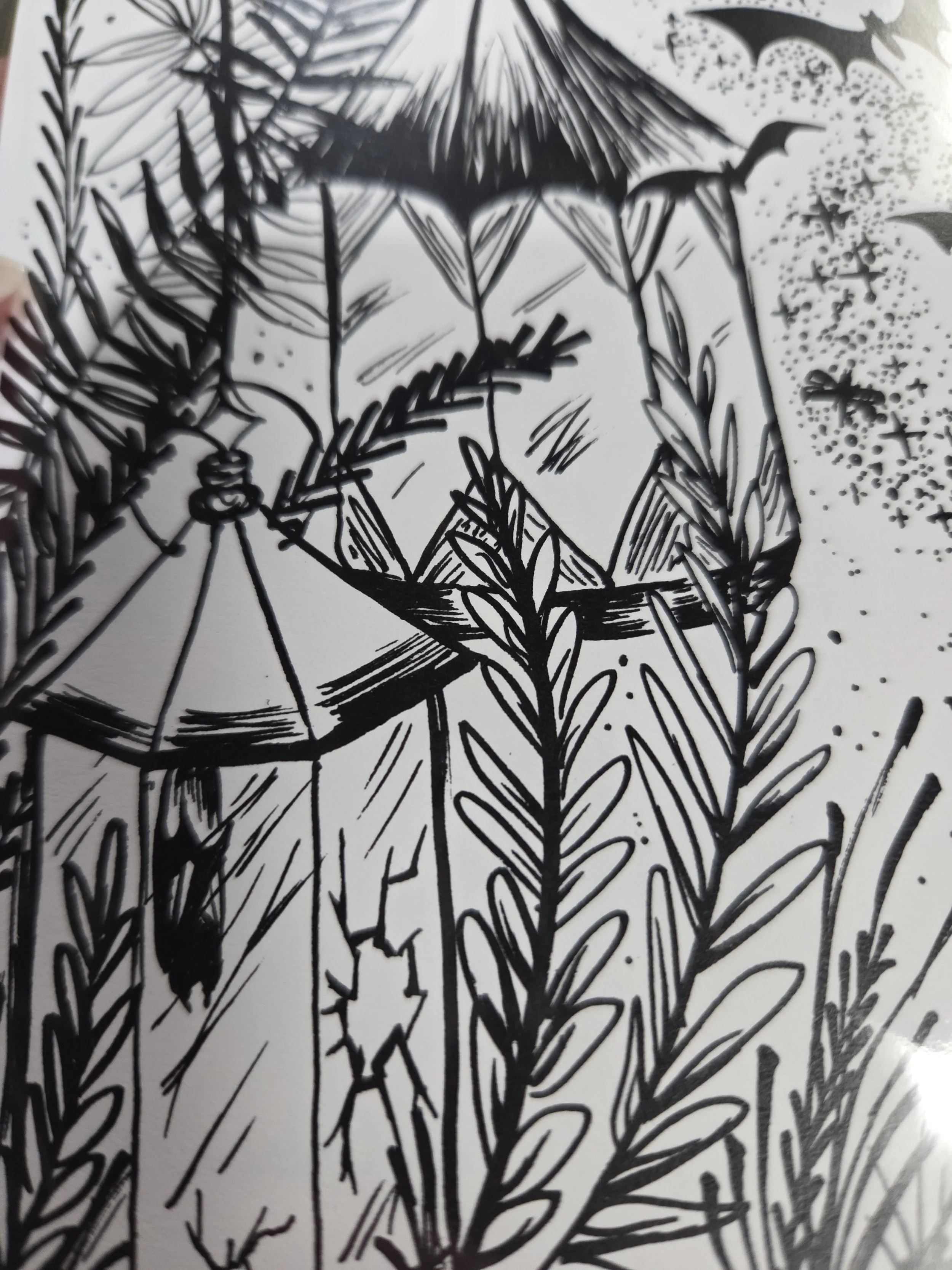 20251209_151430 (1).jpg