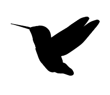 Screen Shot 2025-10-30 at 2.51.53 PM.png