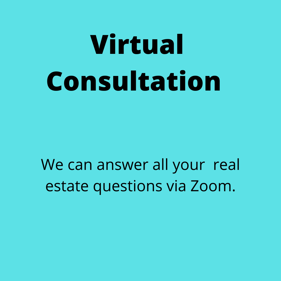 Virtual Consultation.png