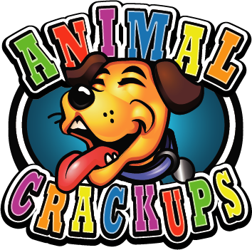 Animal Crackups | Fun-filled videos for pets and their families