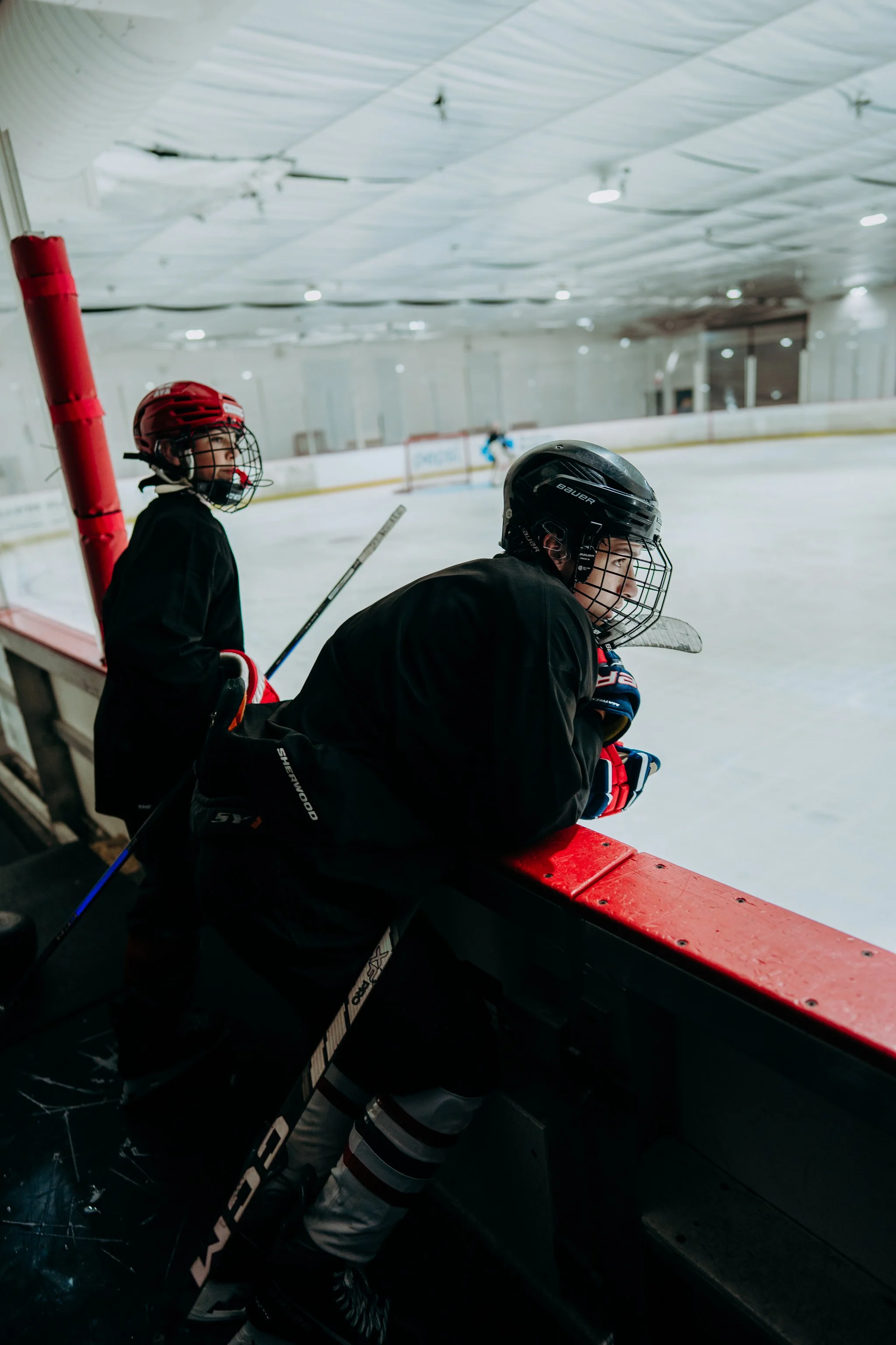 hawkscamp-320.jpg
