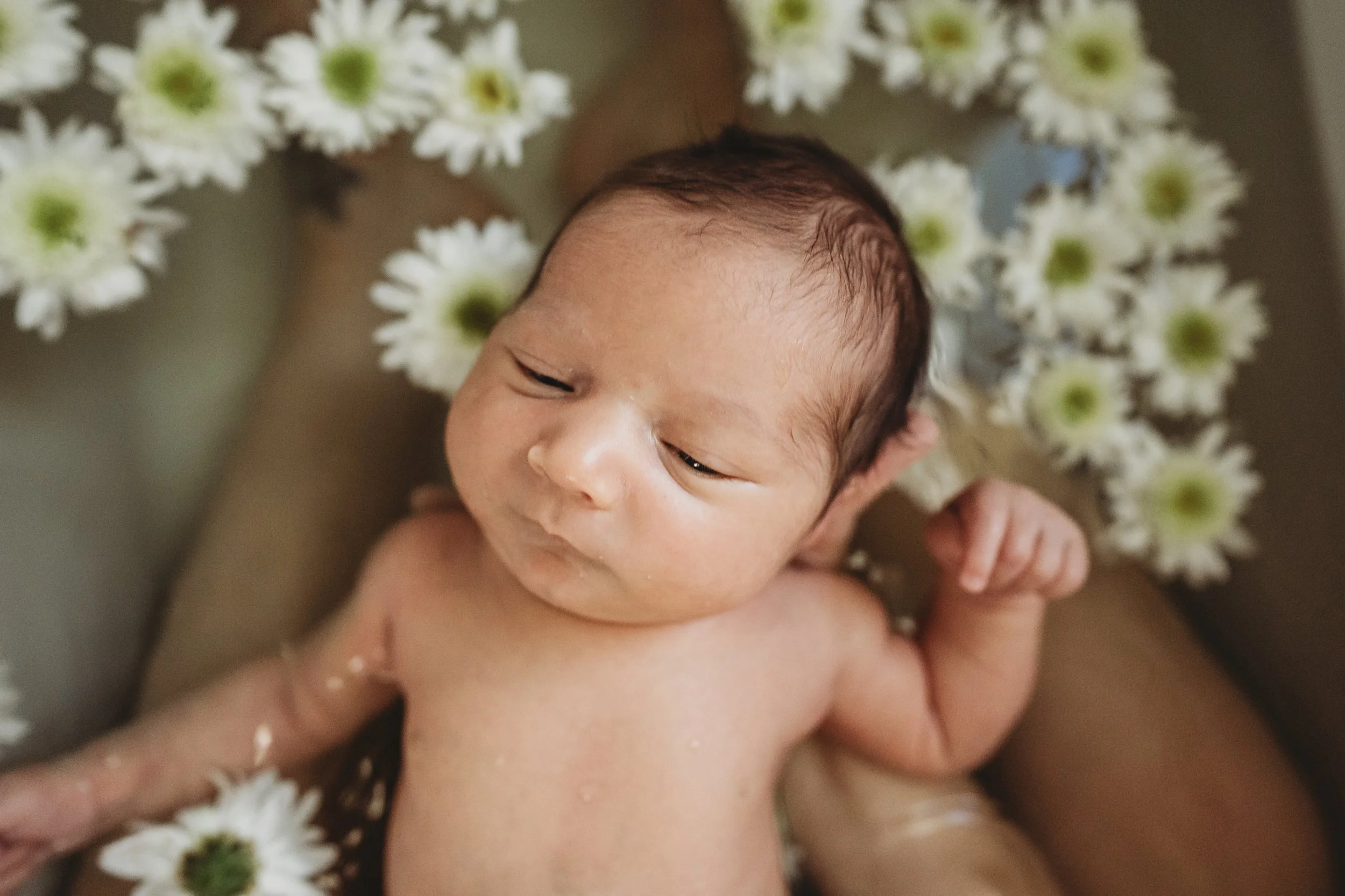 theo-93.jpg