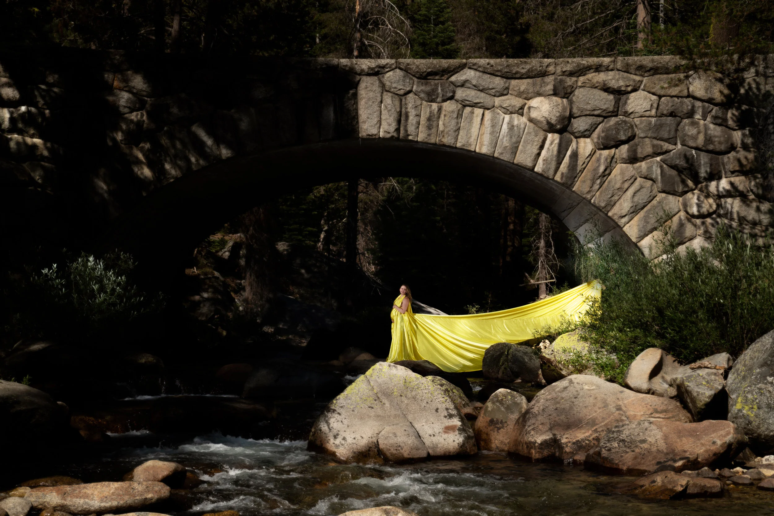 tahneebridge copy.jpg