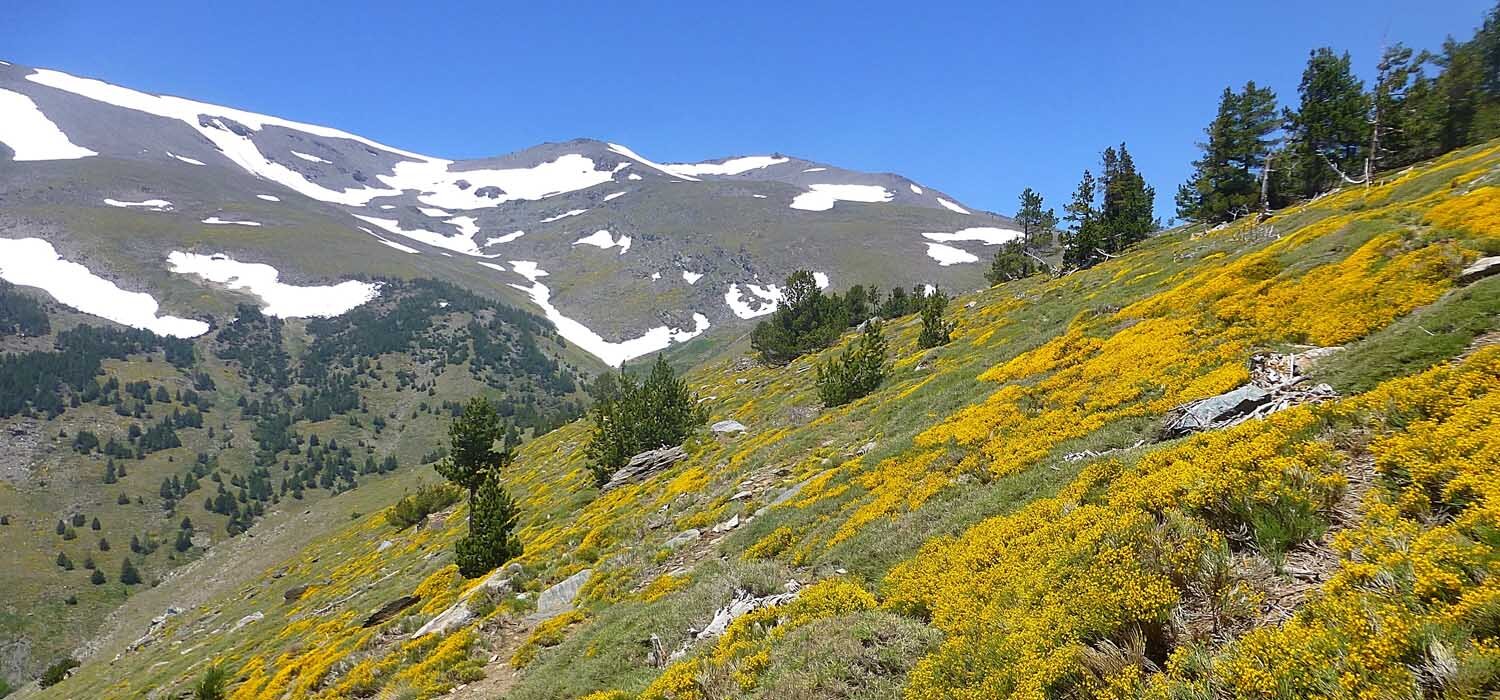 Casa Ana guide walking holidays - Sierra Nevada National Park, Spain