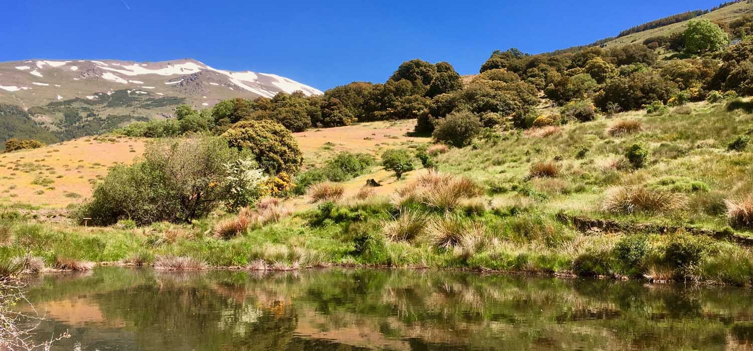 Guide walking holidays with Chris Stewart and Casa Ana, Albujarras, Spain