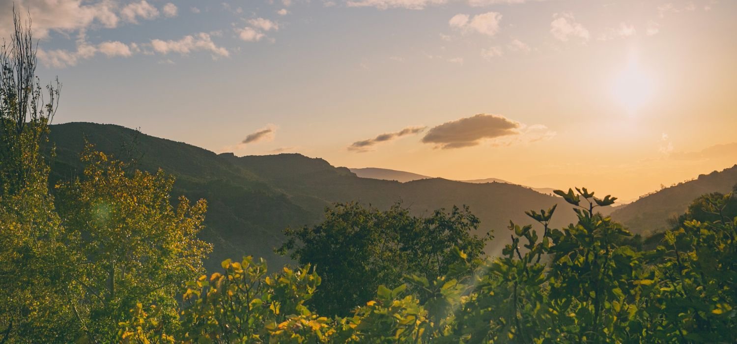 hills, sunset 1500x700.jpg