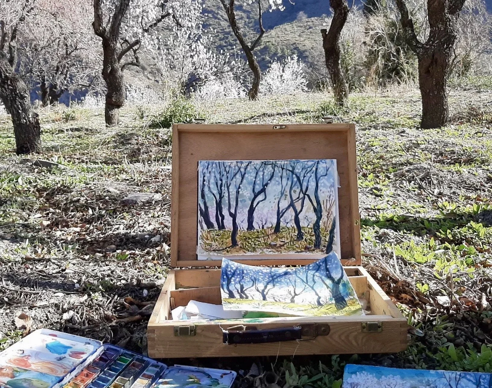 Paintbox and almond grove EDITED.jpeg