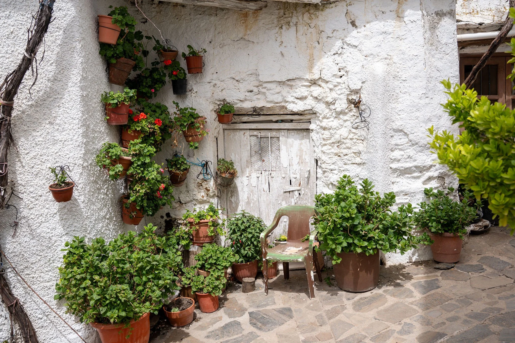 Old Door and Flowerpots.jpg
