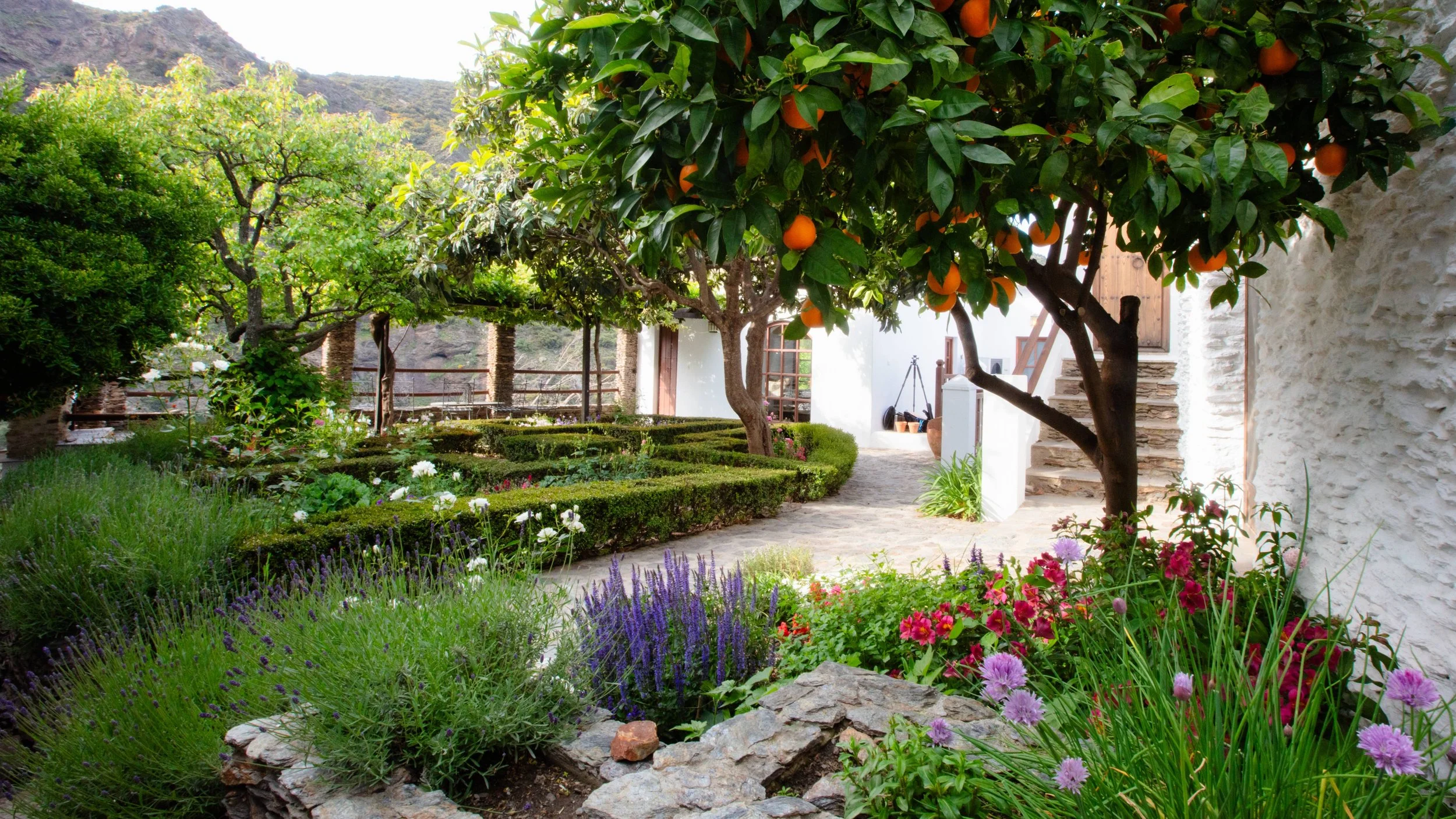 Garden Two.jpg