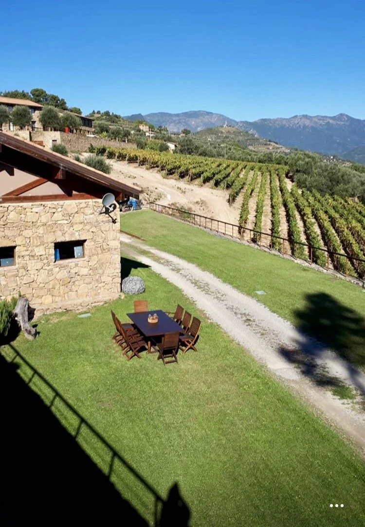 FullSizeRender 2.JPG