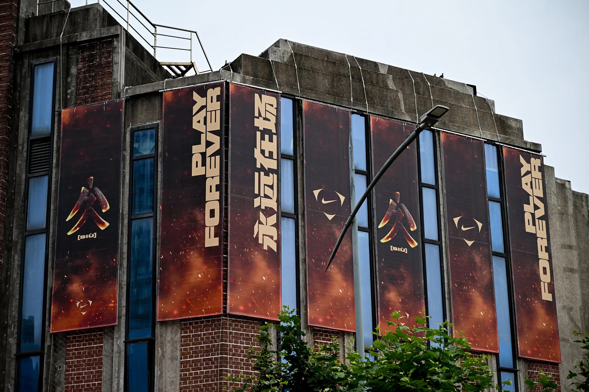 DSC9142.jpg