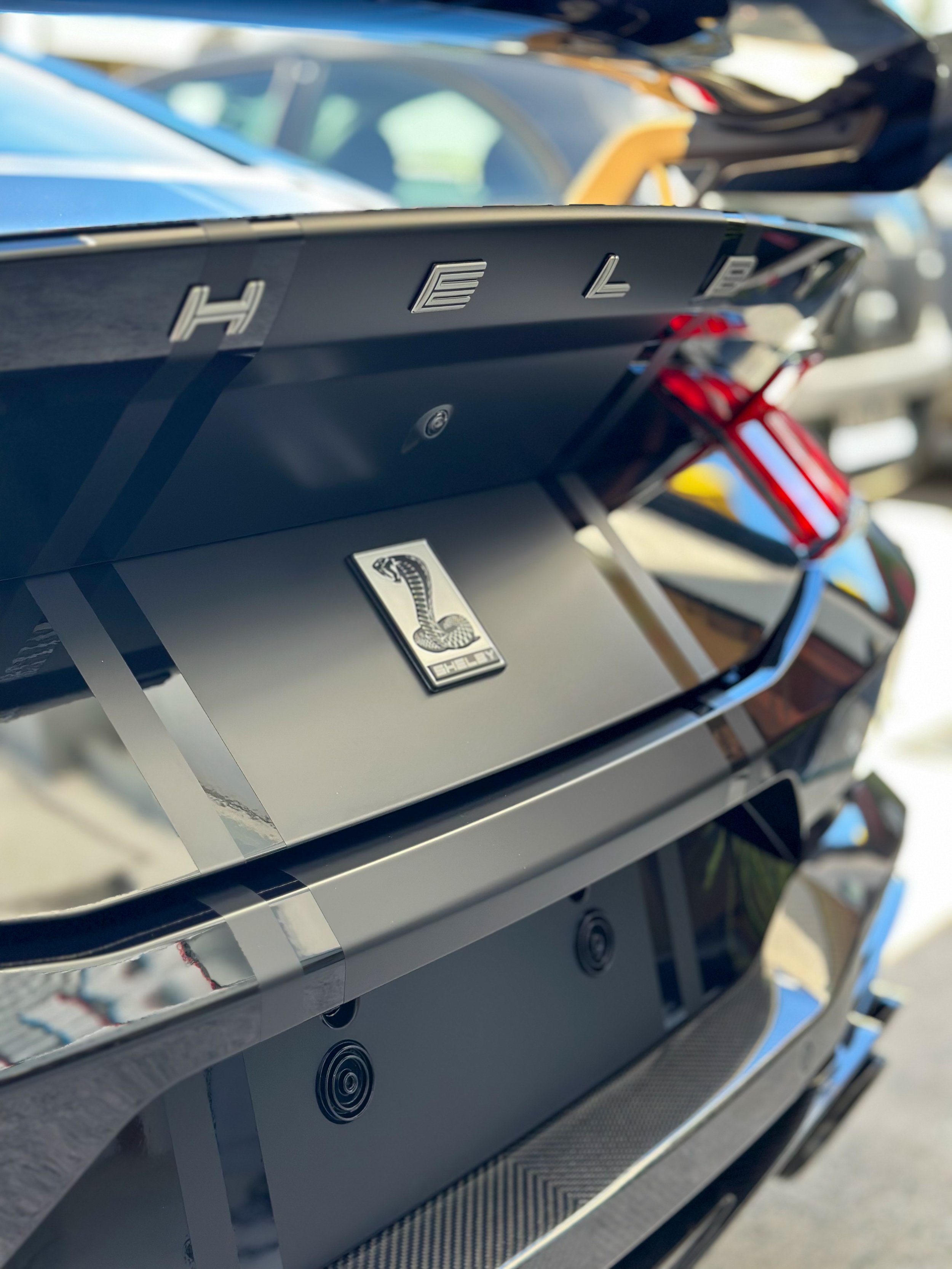 Shelby super snake stripe in matte black