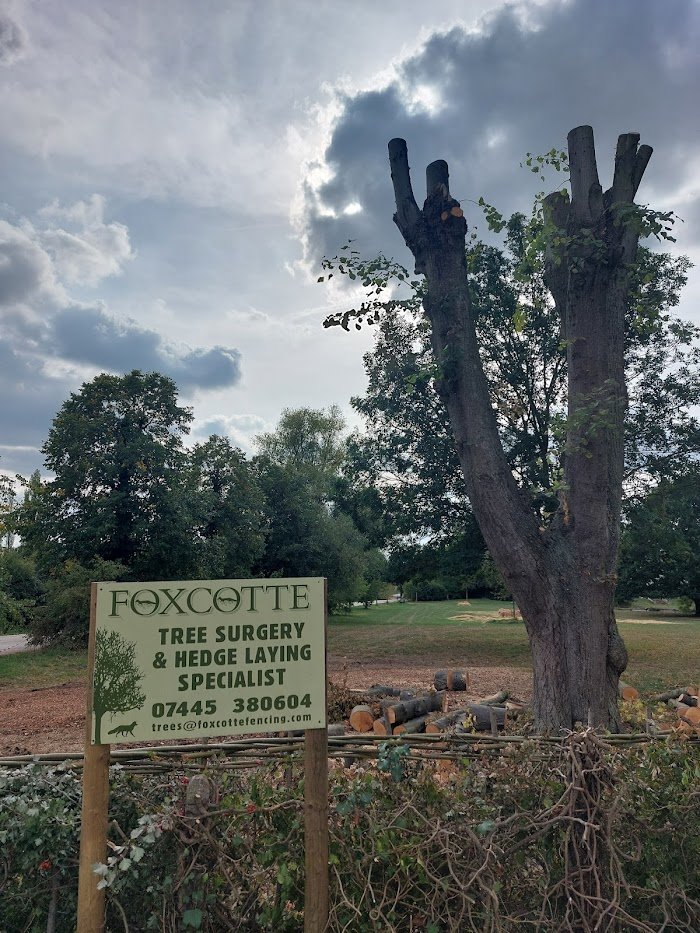 Foxcotte Tree Surgery