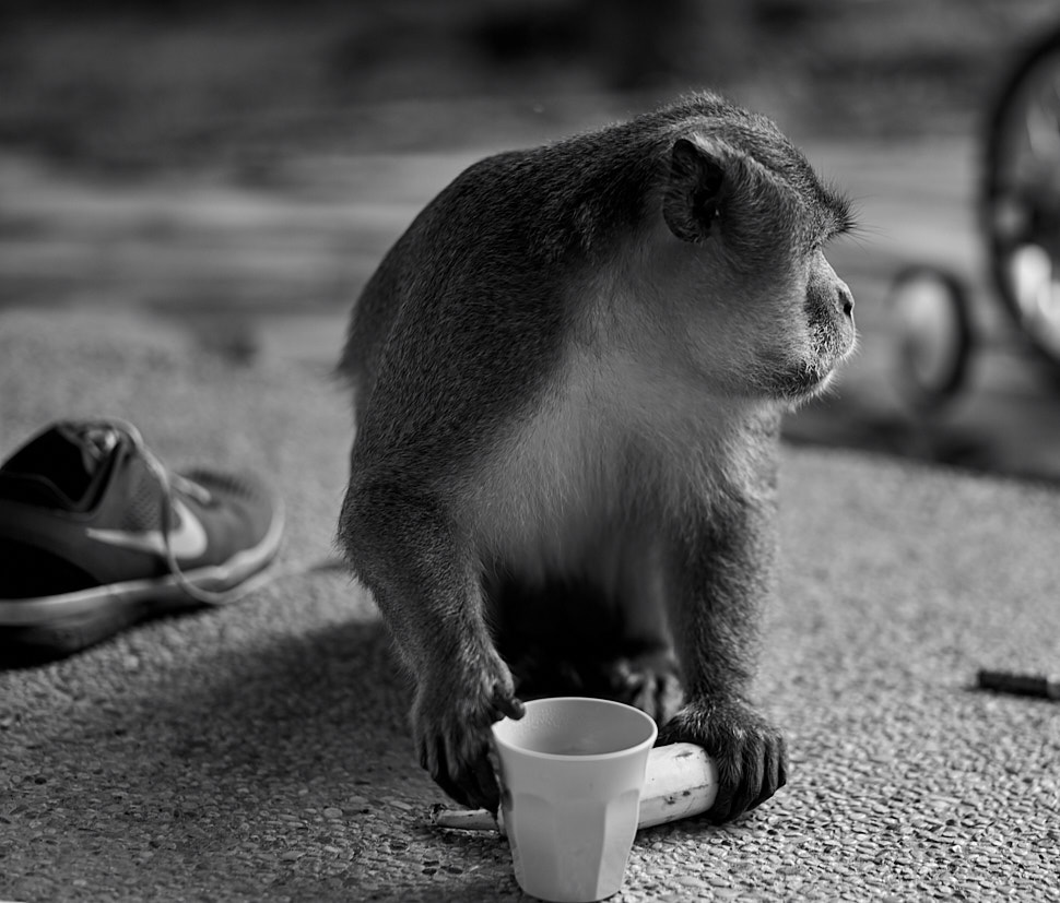 Contracts li​ke you mean it