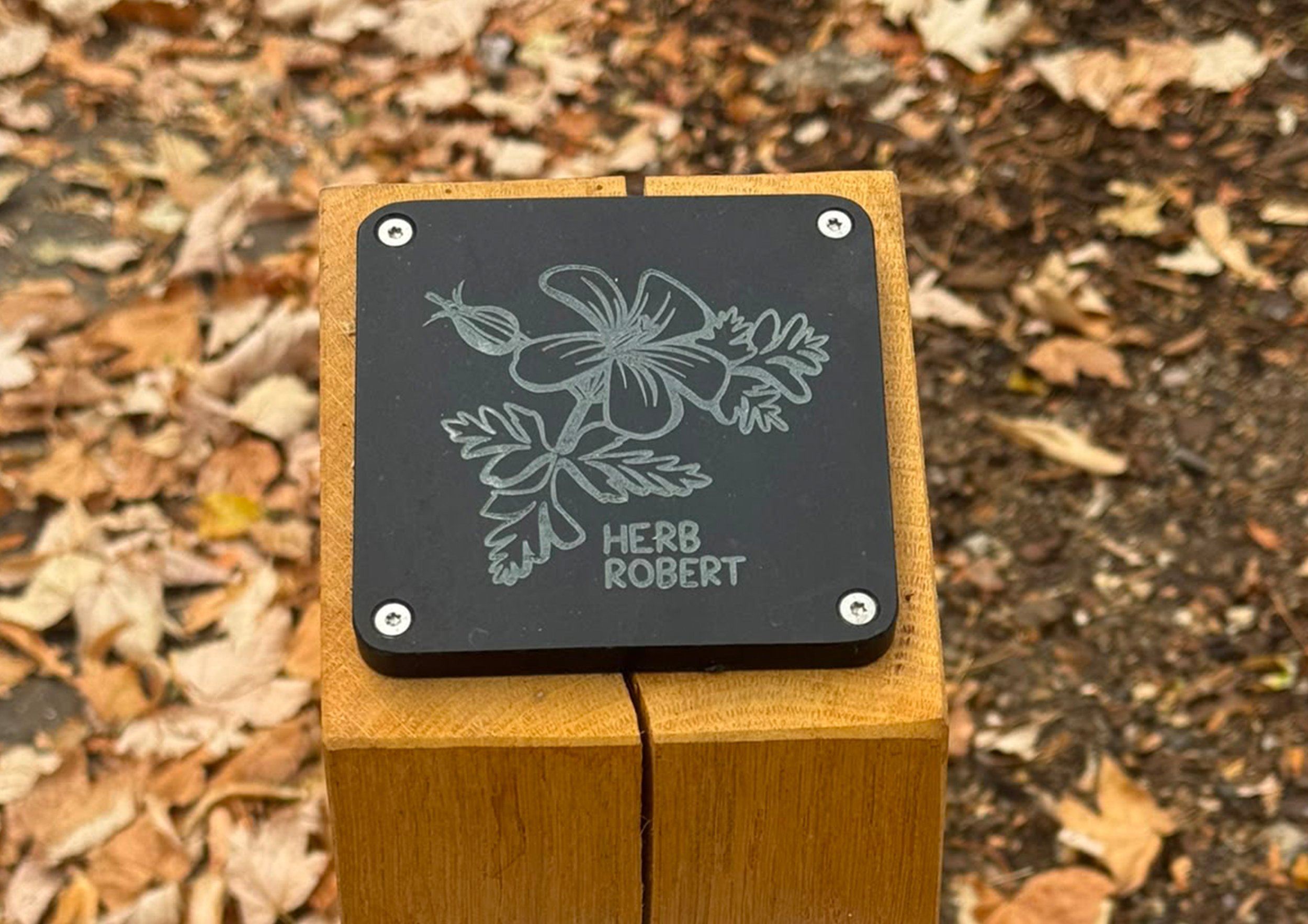Rubbing posts main image.jpg