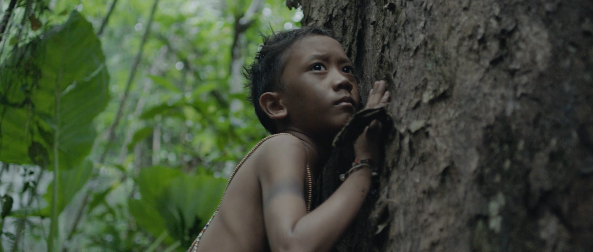 Lottery | The village