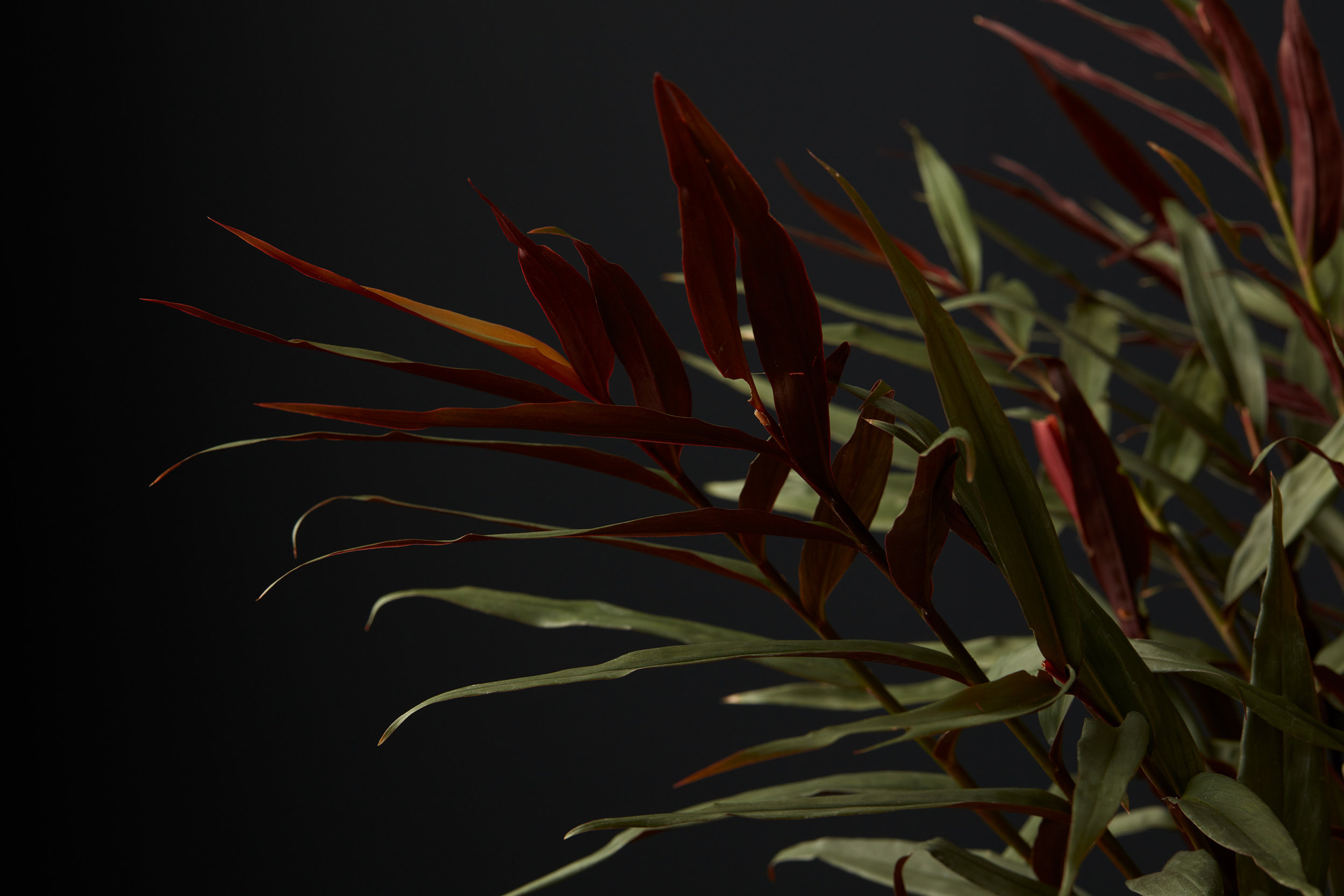 Texture_14_013-copy.jpg