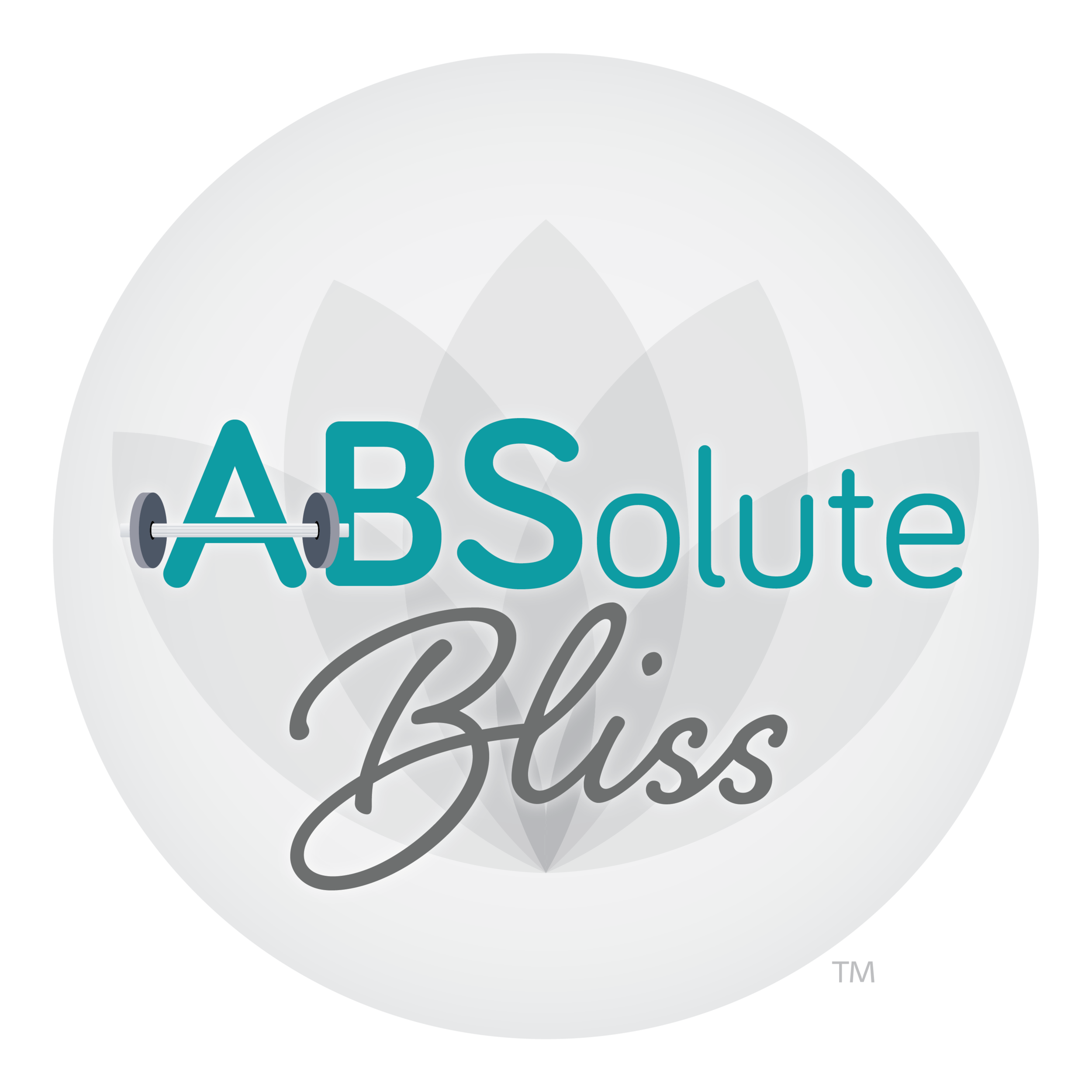 ABSolute Bliss | Hot Yoga, Barre, Personal Training &amp; Pilates Reformer