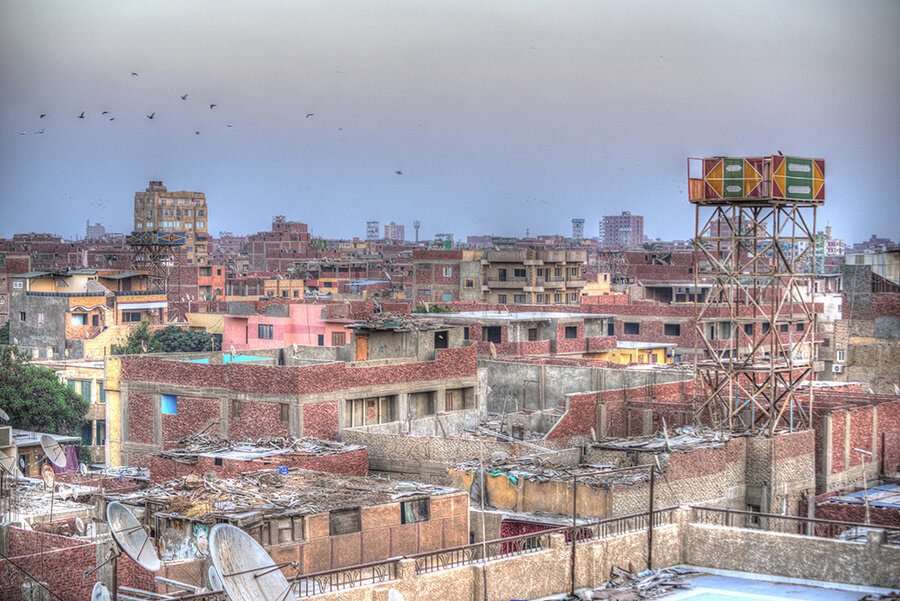 Rooftops and birds