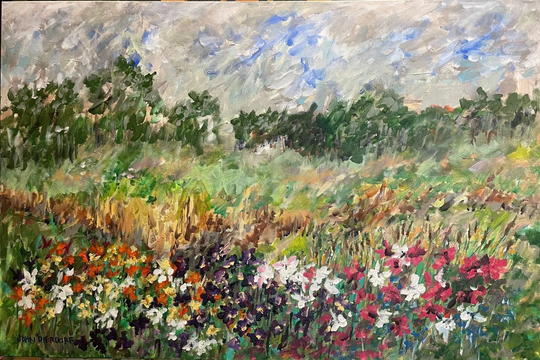 Native Meadow Flowers