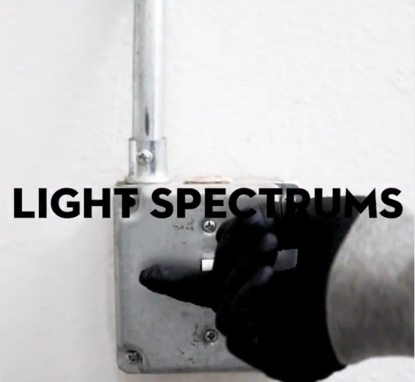Light Spectrums