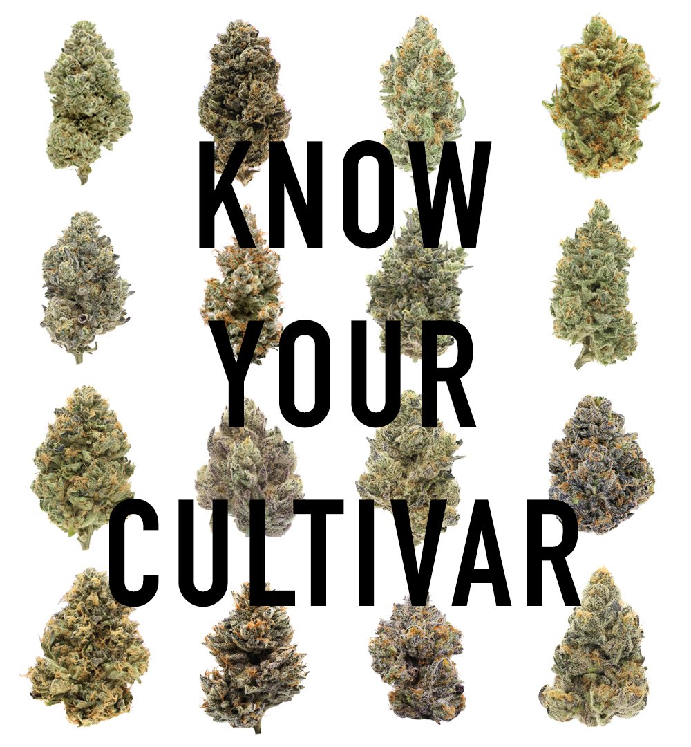 Know Your Cultivar.jpg