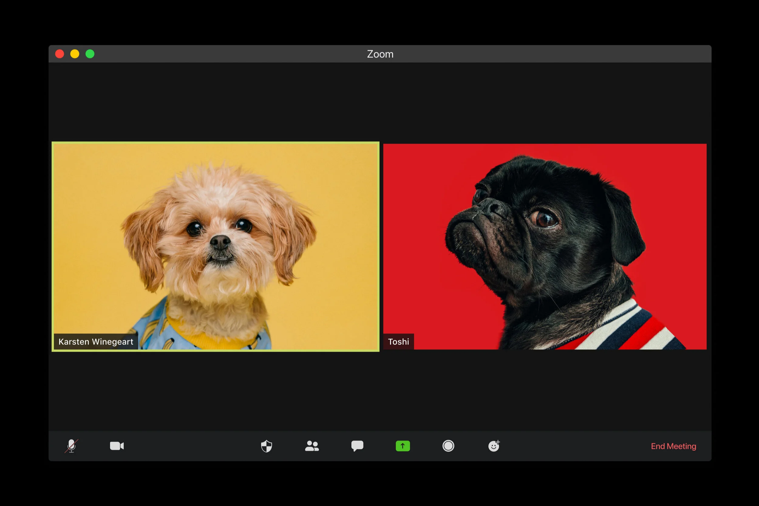Great tips for virtual meetings