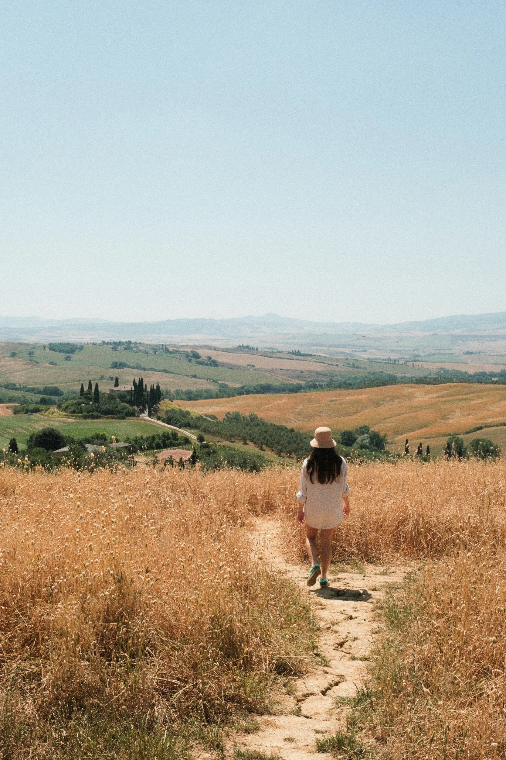 unsplash-image-tibP3FWy-iA.jpg