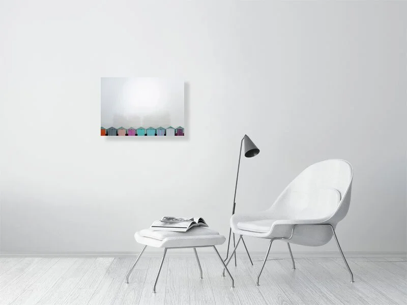 8430299.jpg