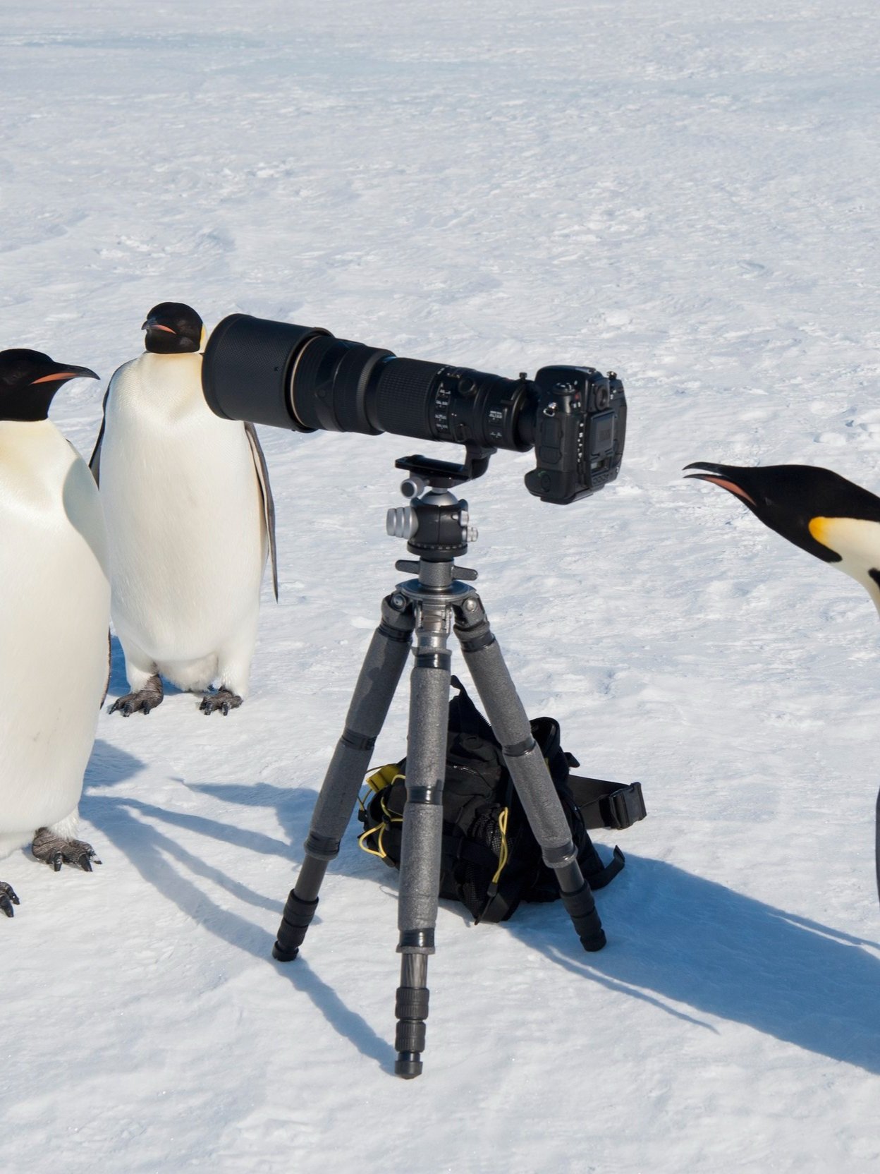 How To Use A Tripod for Dating Apps (male edition)