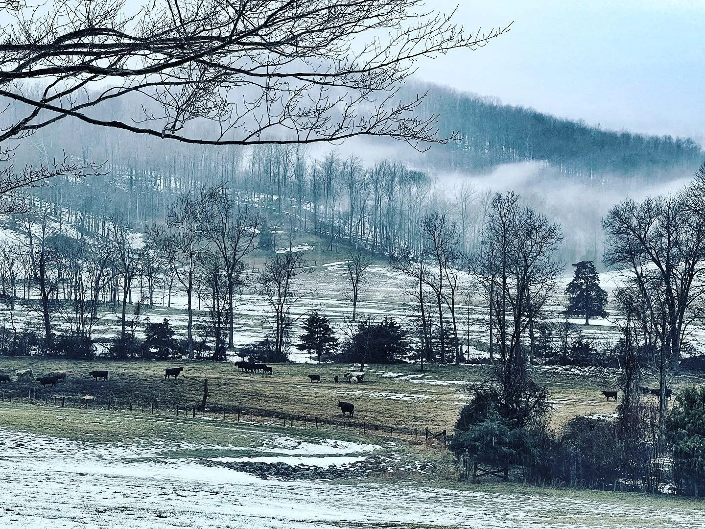 blue winter fields and mountains copy.jpg