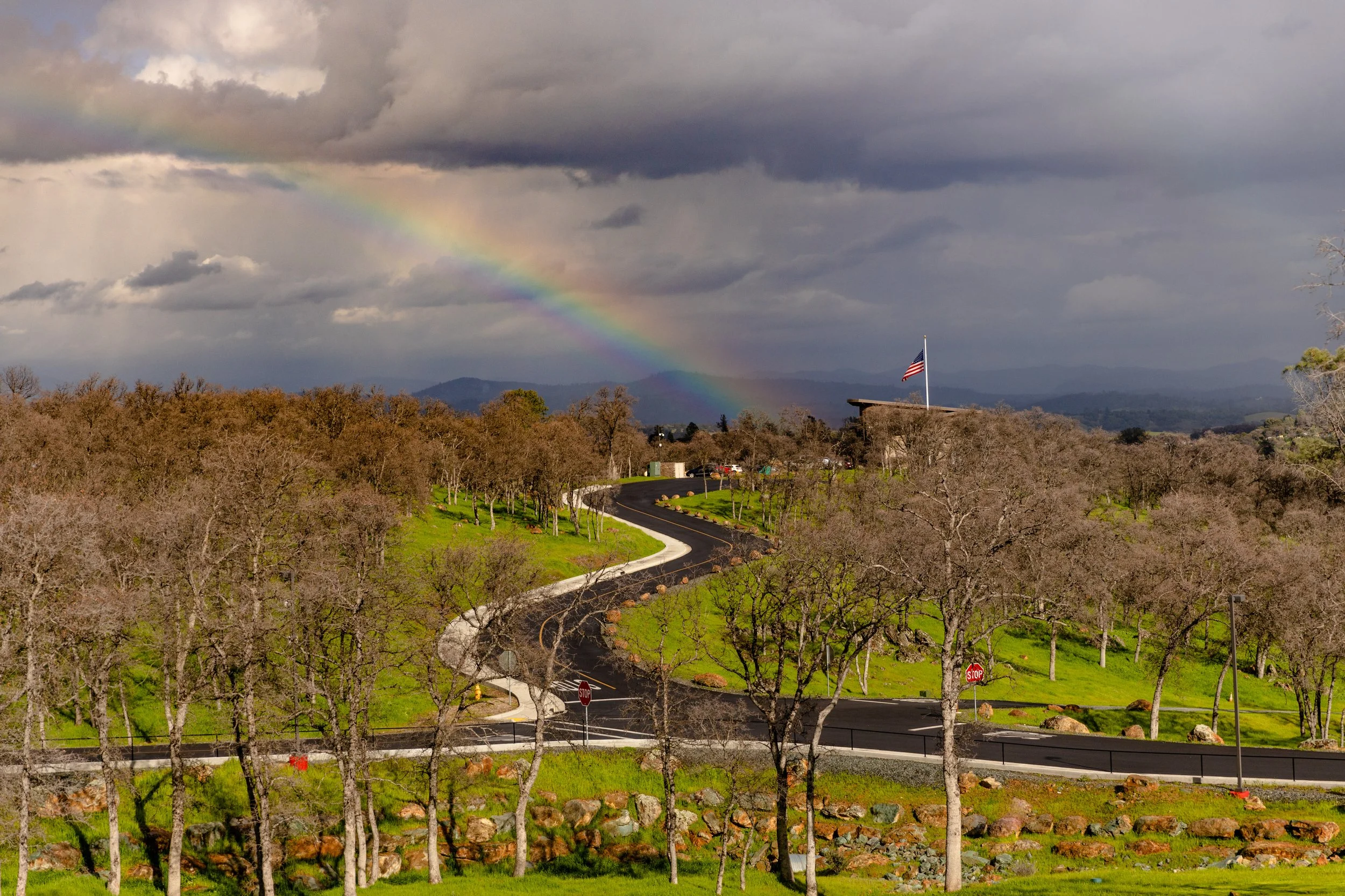 Tribal Office Rainbow 3.jpg