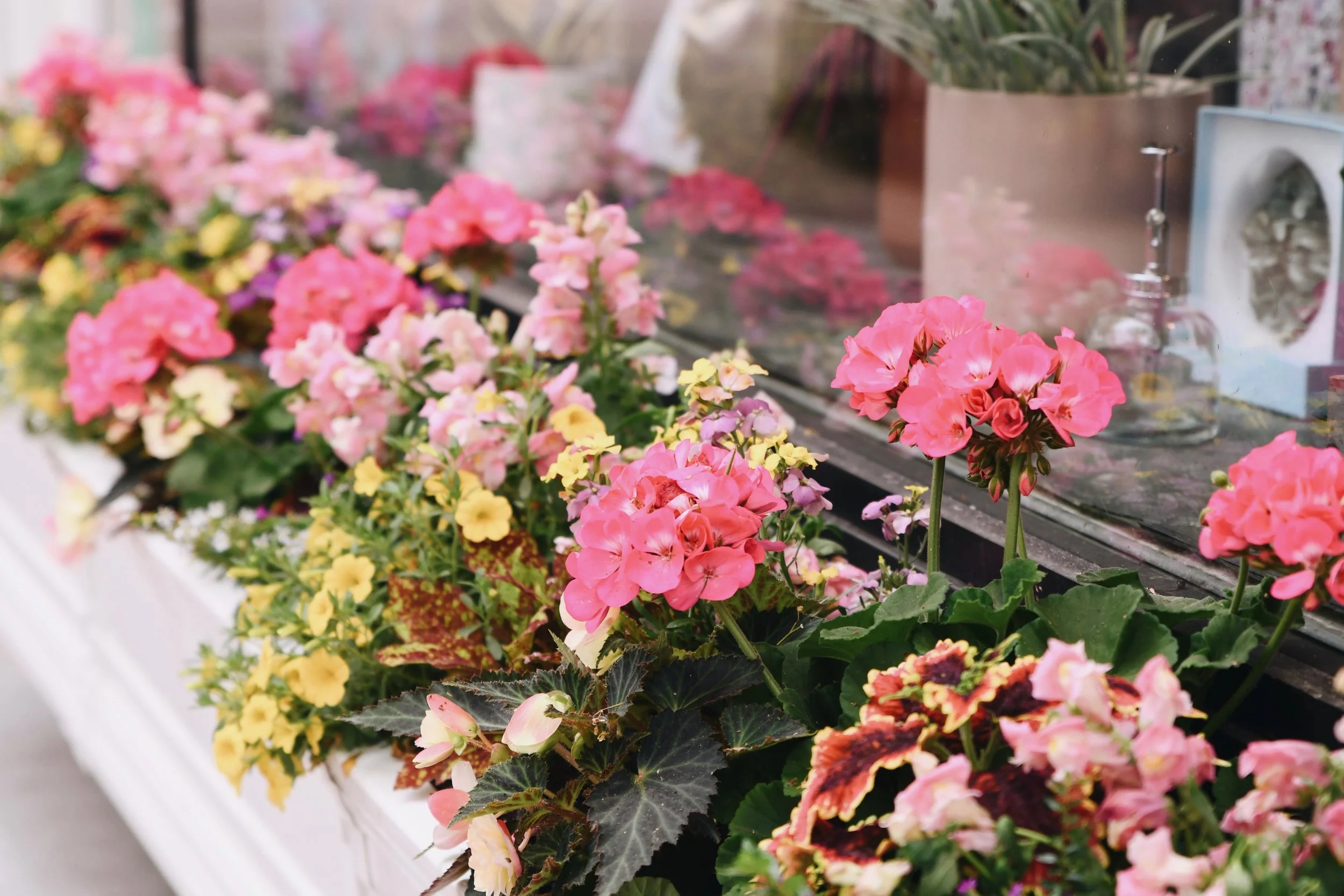 Photo Apr 24 2025, 11 50 59 AM.jpeg