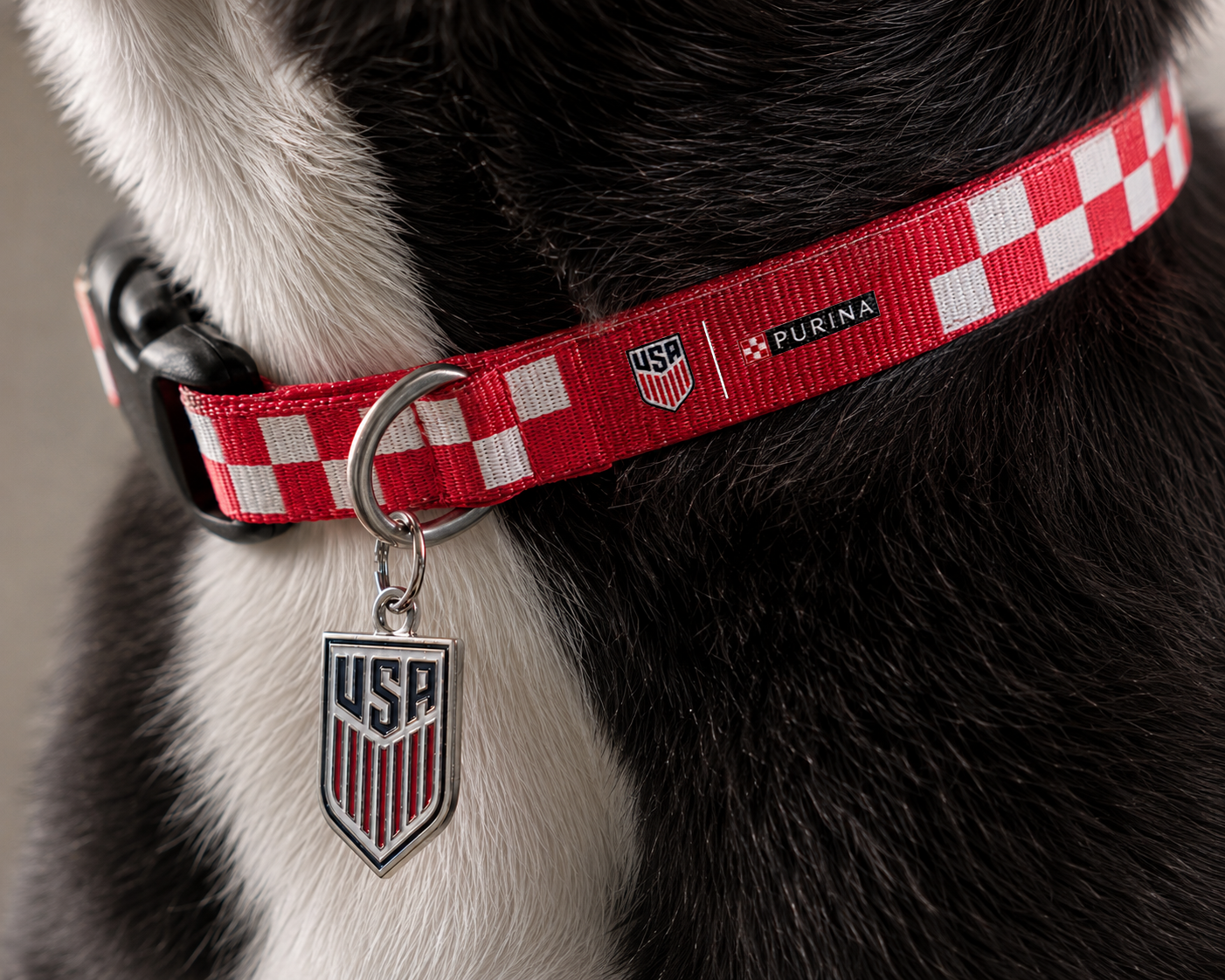 USA x Purina Dog Collar Activation
